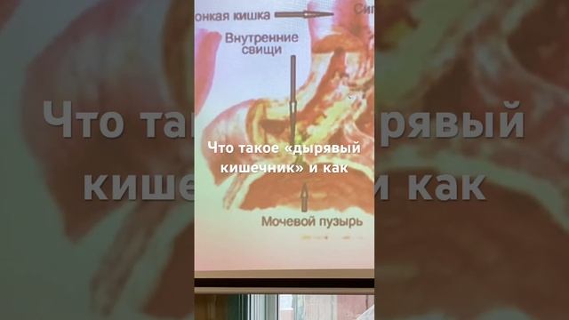 Колит , цистит , миома, простатит - а Вы то думали весна уж к Вам спешит , а тут микроб беду творит