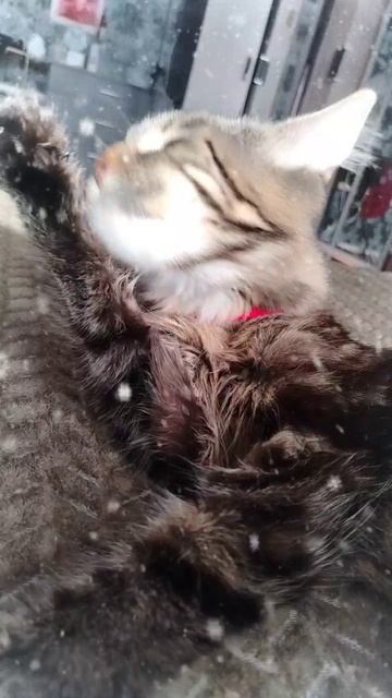 1000017949.mp4