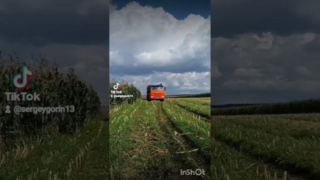 26 января 2024 г.