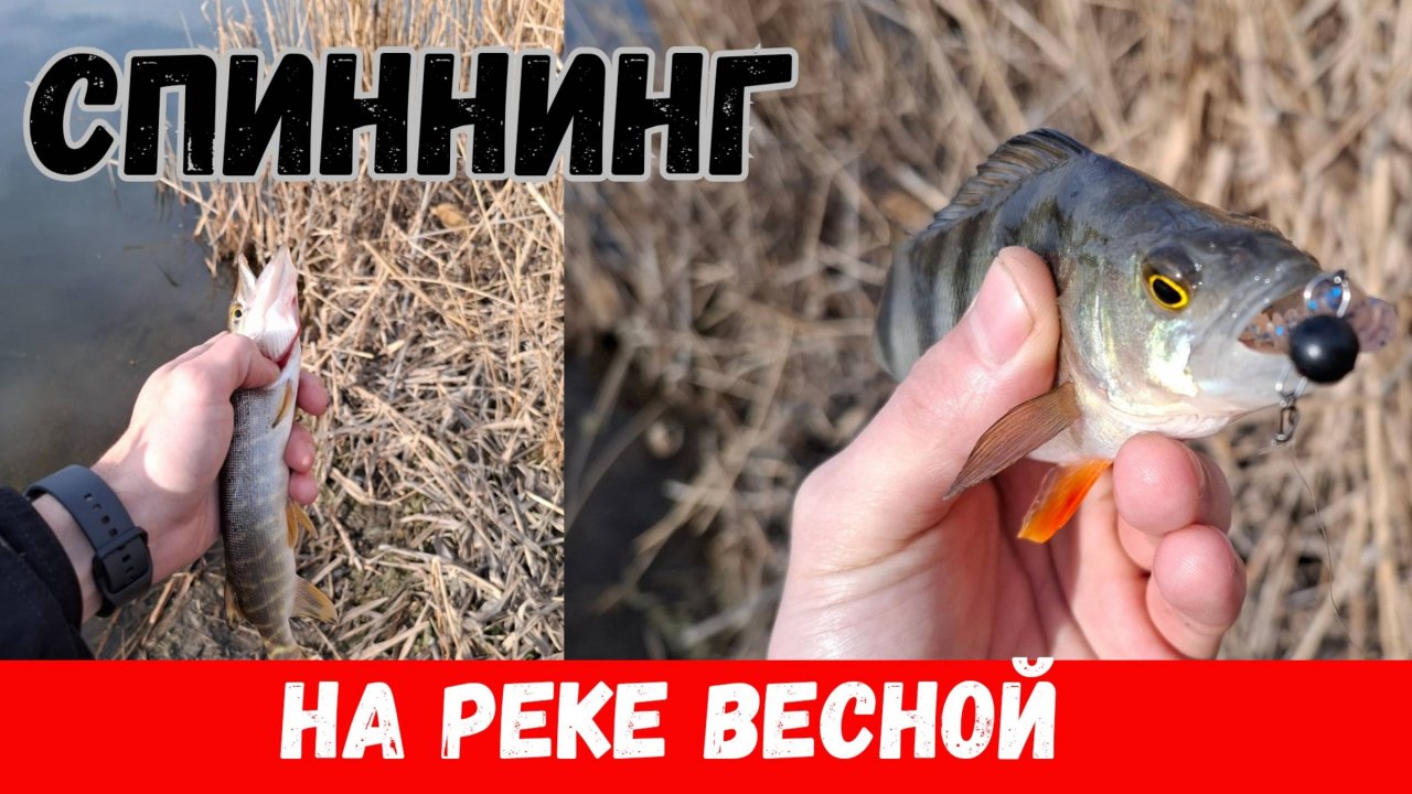 Как ловить на спиннинг весной? Ловлю окуня, щуку на реке весной!