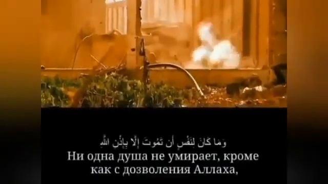 Ни одна душа не умирает, кроме как с дозволения Аллаха.. Сура 3 "Аль-Имран" Аят 145