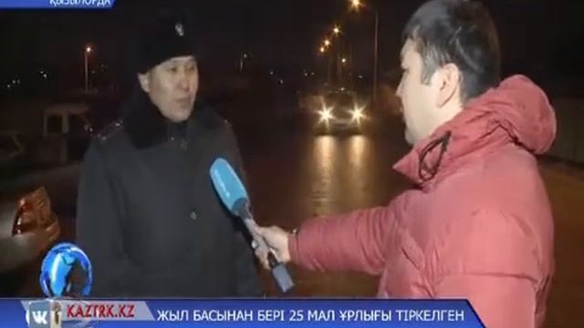 Жыл басынан бері 25 мал ұрлығы тіркелген