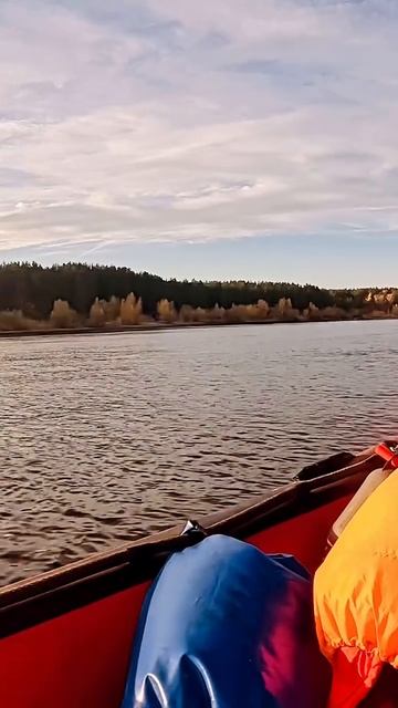 Катамаран иду из самары (осень 2024)