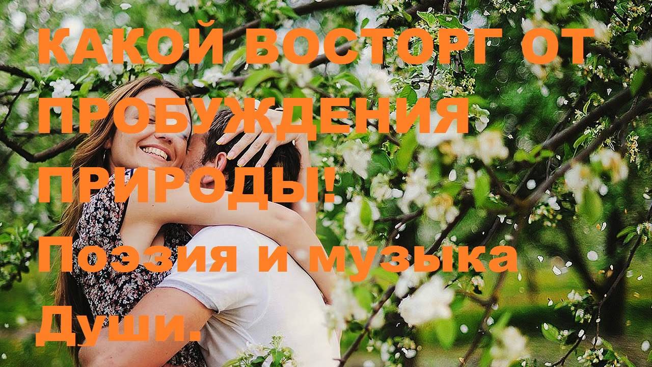 КАКОЙ ВОСТОРГ ОТ ПРОБУЖДЕНИЯ ПРИРОДЫ! Автор стихотворения А. Соколов. Автор видео В. Голикова.