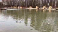 15.03.25 г. Парк отдыха водопад