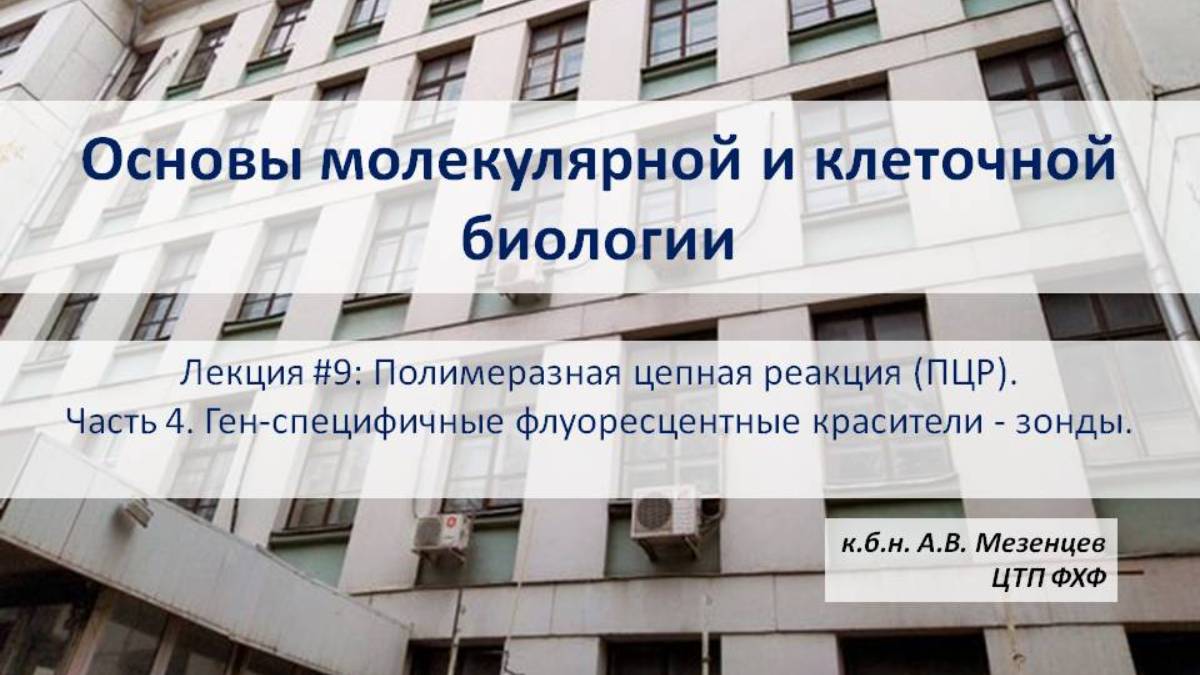 Основы молекулярной и клеточной биологии Л9 ПЦР Ч4 Ген-специфичные флуоресцентные красители зонды