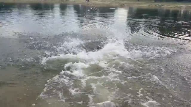 Супергерой в отставке
