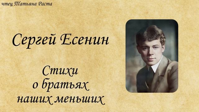 🌟 "стихи о братьях наших меньших"🔊 Слушайте сейчас! #Аудиокнига #Чтение #Книги