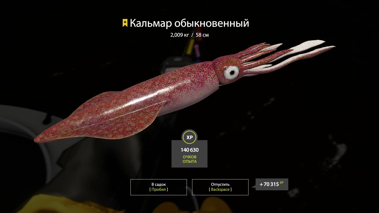 Трофей Кальмар обыкновенный