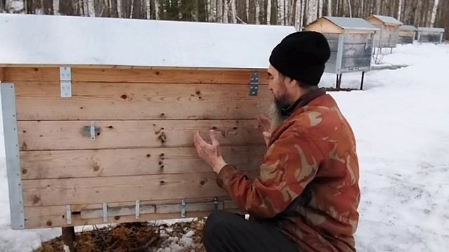 Пчелам холодно летать.