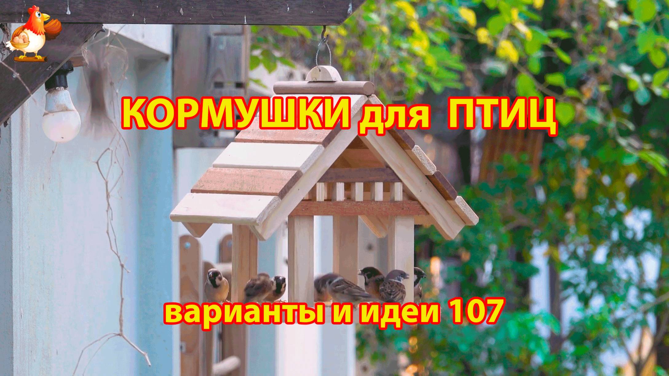 Кормушка для птиц своими руками как сделать пошагово  (107) 🪚🪛🔨 Идеи для дачи и сада❣️