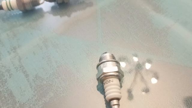 1000067061.mp4
