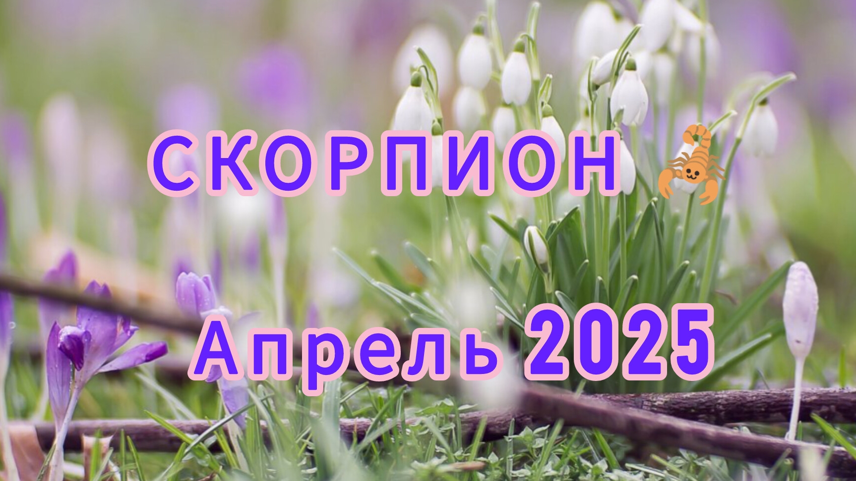 СКОРПИОН ♏ апрель 2025 года. Расклад таро