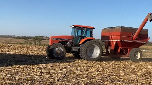 Wallen Farms Corn Harvest 2020