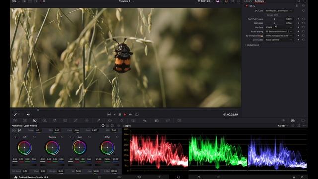 Hybrid Film Emulation Eastman 5247 / Vision 2393 DCTL FilmProcess DaVinci Resolve BMPCC 6K PRO braw