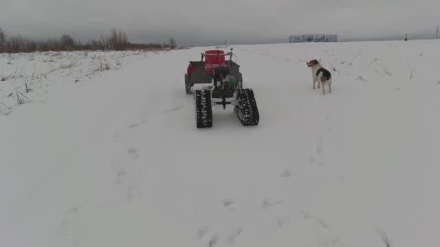 Вот и наступила весна!