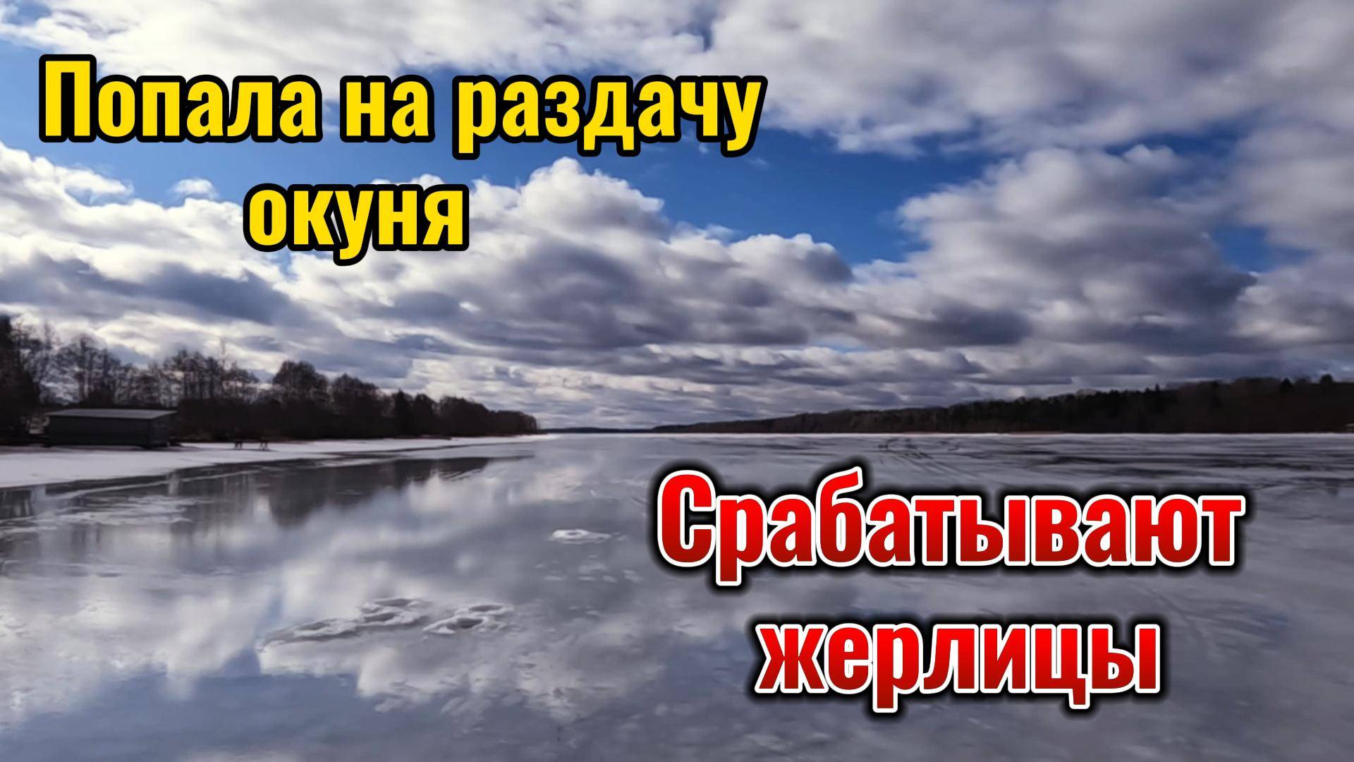 Жерлицы срабатывали одна за другой. Поймала судачка и налима. Нашла окунёвое место.