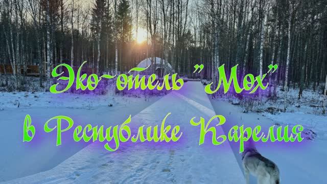 Эко-отель «Мох» в Республике Карелия