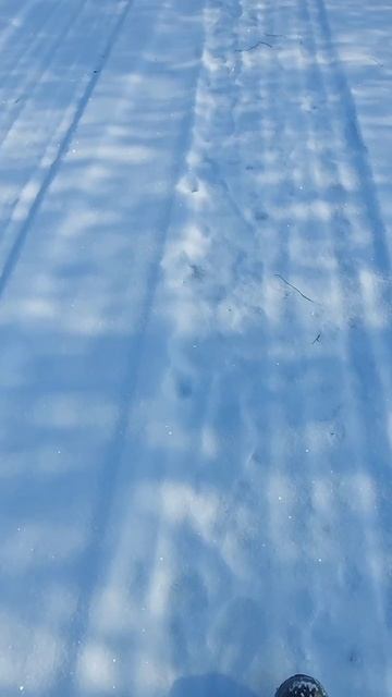 Вот Такая ВЕСНА 2025 ❄️🌞