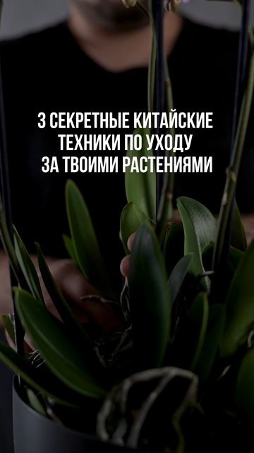 Самые главные советы!