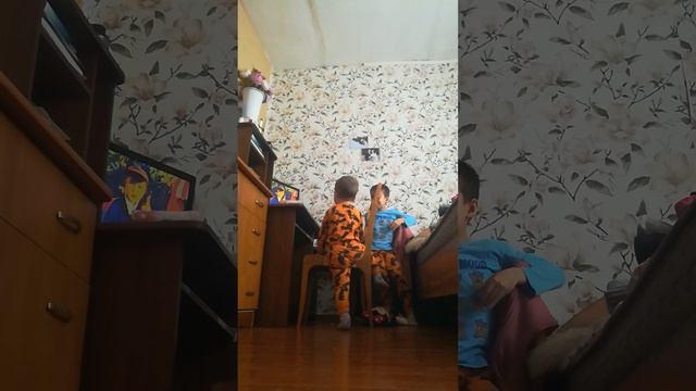 VID_20241221_112818.mp4