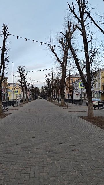 г.Тверь 15.03.25 ⏰7:30АМ, -3°  Мысли по жизни и скандинавская ходьба по утрам!