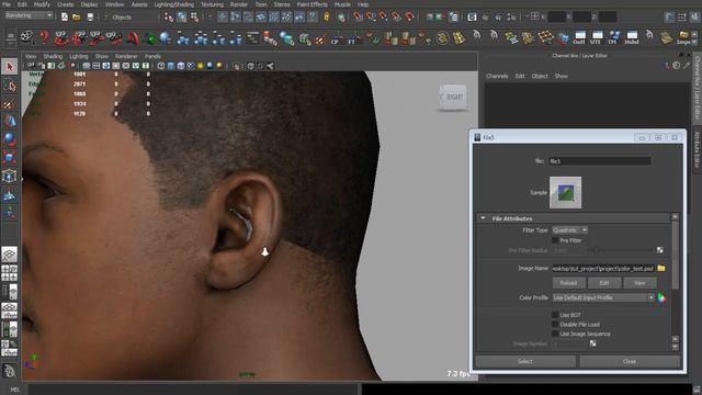 08 head texturing part2