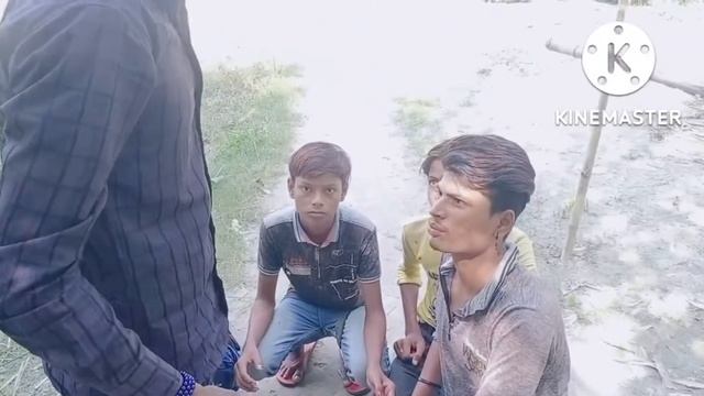 New comedy video pad pud llama shorts video download
