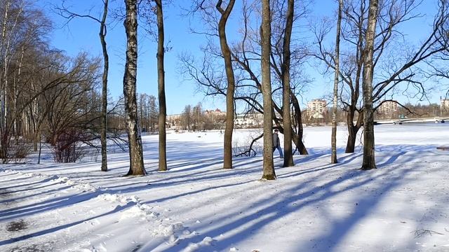 Колпино.