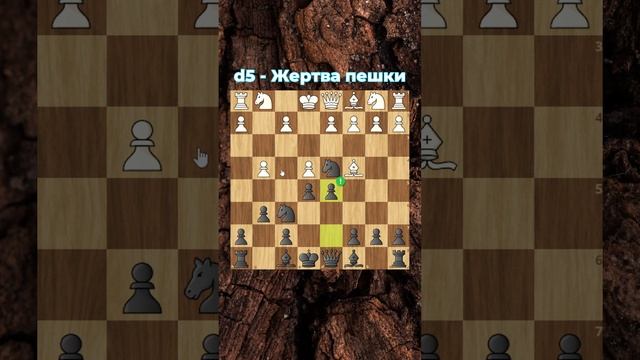 НАКАЖИ СОПЕРНИКА ЗА ДЕТСКИЙ МАТ!!