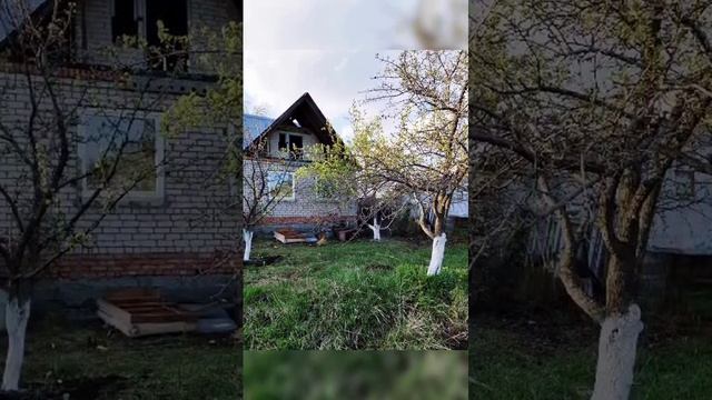 Купили заброшенную дачу на берегу озера...
