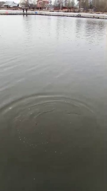 WhatsApp Video 2025-03-15 at 09.51.28