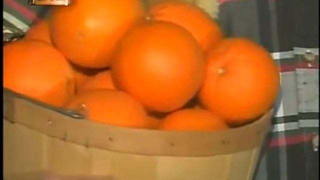 Citrus Farmers battle cold temperatures