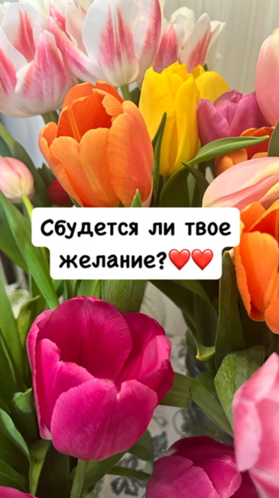 СБУДЕТСЯ ЛИ ТВОЕ ЖЕЛАНИЕ🧚🏻♀️