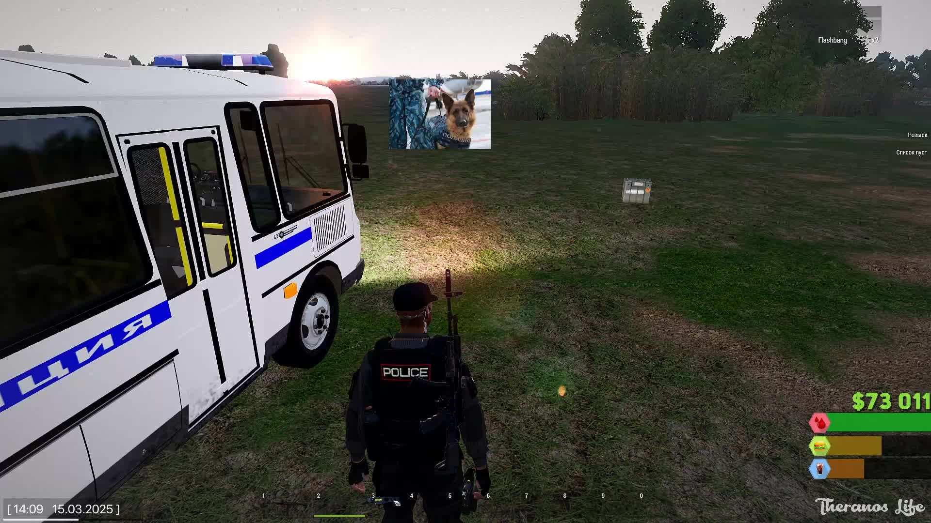 Arma 3 Теранус служба в МВД