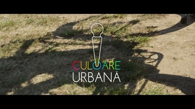 Pegas Culoare Urbana
