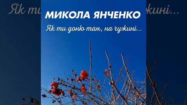 Як ти доню там, на чужині...