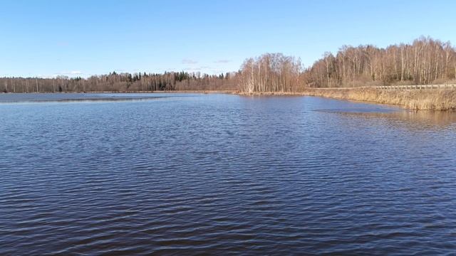 Обзор водоёма РК "Фишка" Петряиха