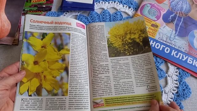 15-03-2025 ПОКУПКИ С БАЗАРА.СЕЮ СЕМЕНА .