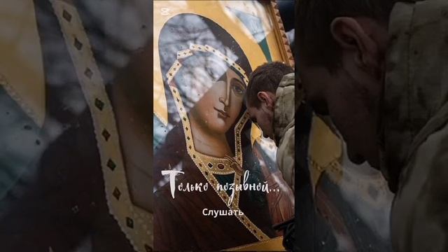 Только позывной (стихи)