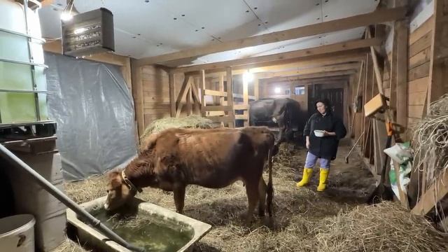 Установили столешницу на новой кухне. Натянули потолок в гардеробной. Ремонт в доме продолжается.