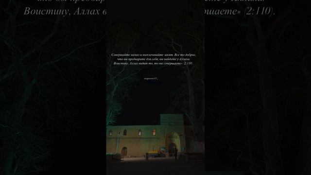 VID_20250315_051849_426.mp4