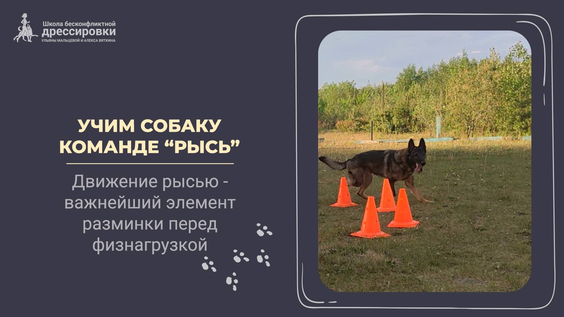 Учим собаку команде "Рысь"