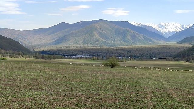 прогулка в окрестностях Тюнгура