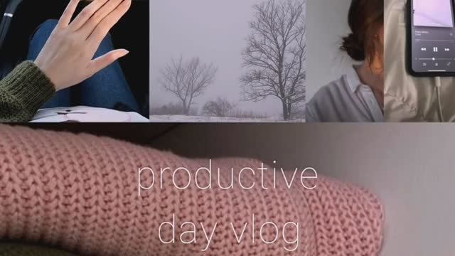 VLOG : продуктивный день