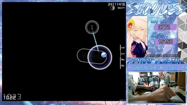 The fucking lag spike (Marina - Towa yori Towa ni)