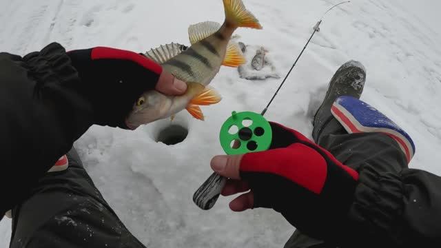 БЕЗМОТЫЛКА РУЛИТ! НОВЫЙ КОМПЛЕКТ для ловли на МОРМЫШКУ обрыблен по ПОЛНОЙ! Вот так РАСКАЧАЛ ЛУНОЧКУ!
