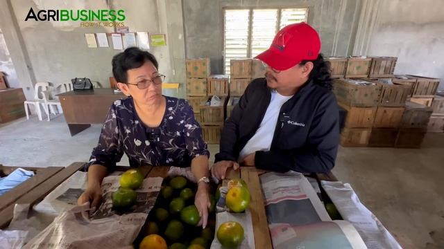 15M Kita sa Citrus: The Secret Behind their Superior Fruits, The Preferred Choice of Buyers