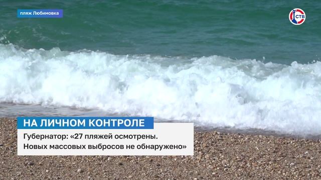 Губернатор Севастополя Михаил Развожаев проконтролировал ситуацию с выбросом мазута