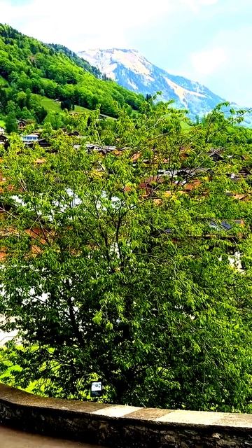 Камера зафиксировала